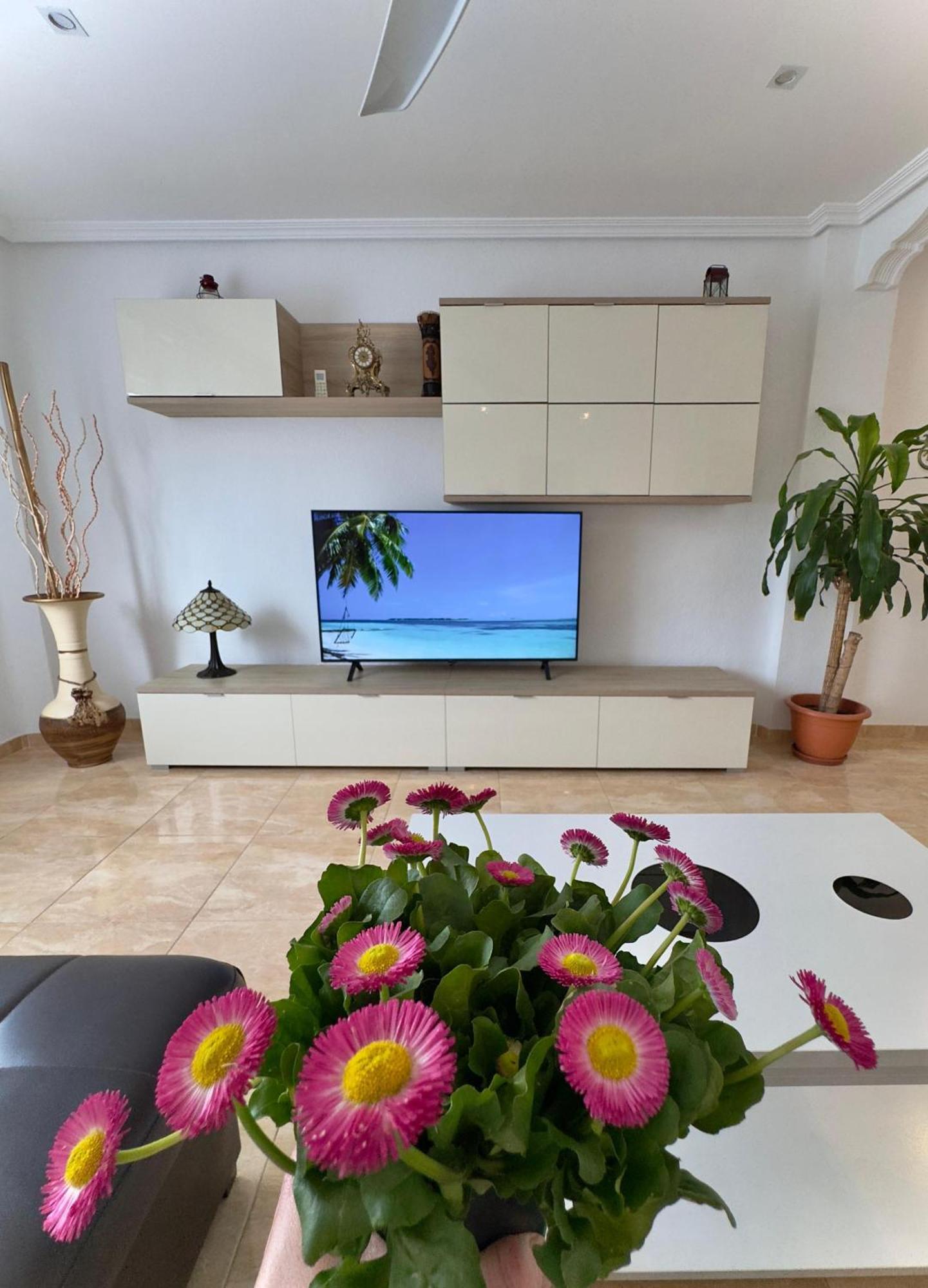 Alenia Apartments อาลิกันเต ภายนอก รูปภาพ